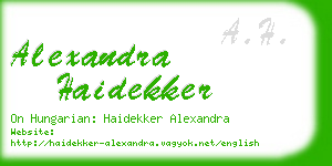 alexandra haidekker business card